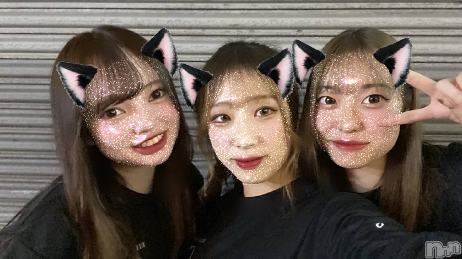 ʥå륺СLAPLUS(ץ饹) 2023ǯ722̥֥֥Сǥ🎂