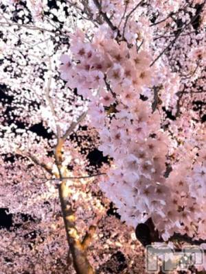 上越デリヘル 上越風俗出張アロママッサージ(ジョウエツフウゾクシュッチョウアロママッサージ) サキ★業界未経験(25)の4月6日写メブログ「初!!日記🕊」