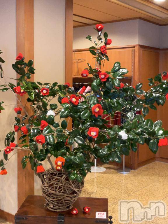 長岡デリヘル長岡風俗出張アロママッサージ(ナガオカフウゾクシュッチョウアロママッサージ) 新人☆整体可☆あゆな(36)の2月28日写メブログ「おはようございます☀️」