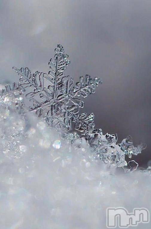 長岡デリヘル長岡風俗出張アロママッサージ(ナガオカフウゾクシュッチョウアロママッサージ)新人☆整体可☆あゆな(36)の2026年1月24日写メブログ「おはようございます☀️」