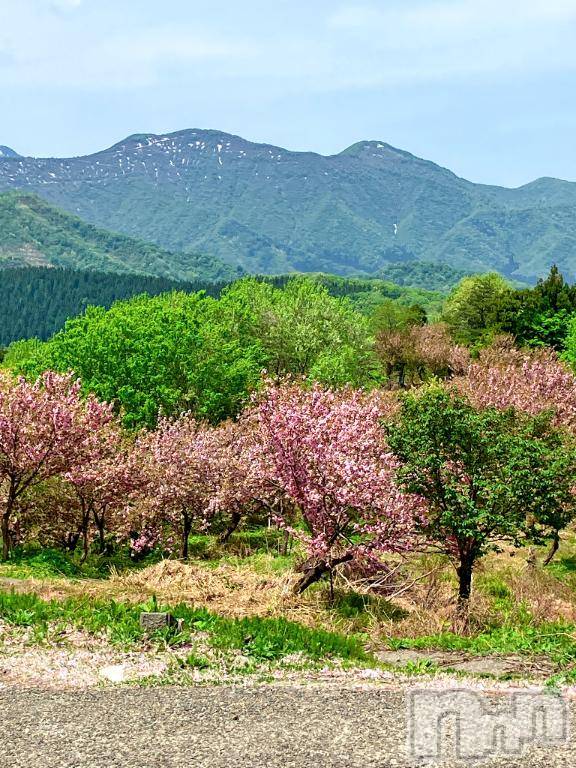 長岡デリヘル長岡風俗出張アロママッサージ(ナガオカフウゾクシュッチョウアロママッサージ)新人☆整体可☆あゆな(36)の2026年4月23日写メブログ「質問にお答えします💡」