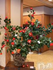 長岡デリヘル長岡風俗出張アロママッサージ(ナガオカフウゾクシュッチョウアロママッサージ) 新人☆整体可☆あゆな(36)の2月28日写メブログ「おはようございます☀️」