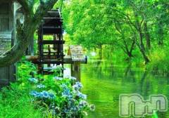 長岡デリヘル長岡風俗出張アロママッサージ(ナガオカフウゾクシュッチョウアロママッサージ) 新人☆整体可☆あゆな(36)の3月2日写メブログ「質問にお答えします💡」