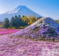 長岡デリヘル長岡風俗出張アロママッサージ(ナガオカフウゾクシュッチョウアロママッサージ) 新人☆整体可☆あゆな(36)の3月25日写メブログ「おはようございます☀️」