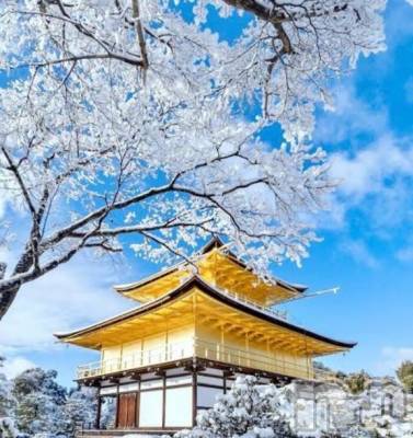 長岡デリヘル 長岡風俗出張アロママッサージ(ナガオカフウゾクシュッチョウアロママッサージ) 新人☆整体可☆あゆな(36)の2月15日写メブログ「質問にお答えします💡」