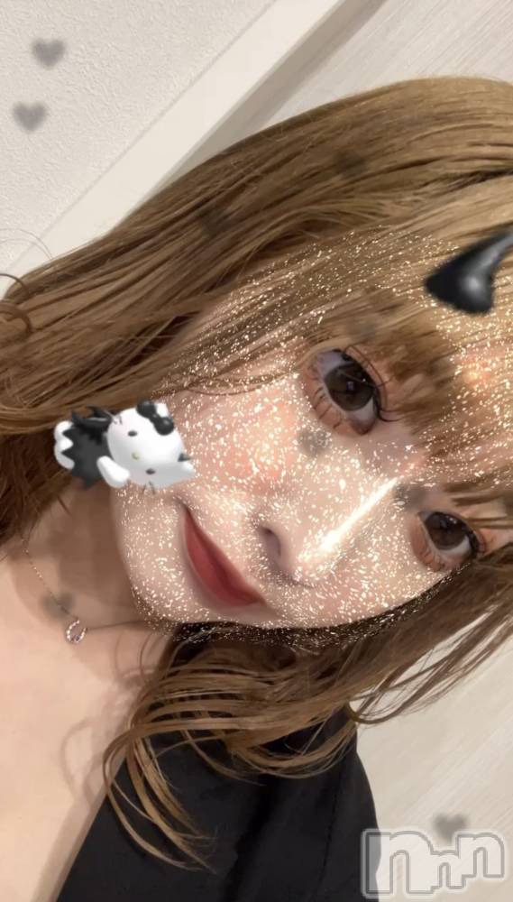 Х顦CABAR LEPUS(Сץ) MAYA729̥֥Ũ
