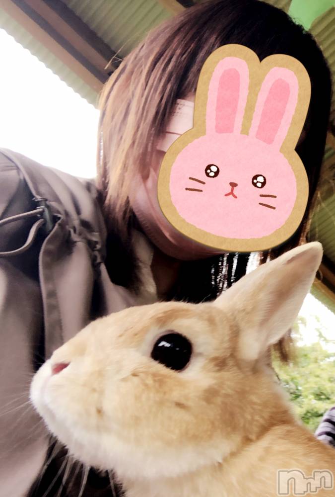 長岡デリヘルすずらん長岡店～ゆっくり長い時間を過ごせるお店～(スズランナガオカテン) 緑川かえで(35)の3月31日写メブログ「🐰」