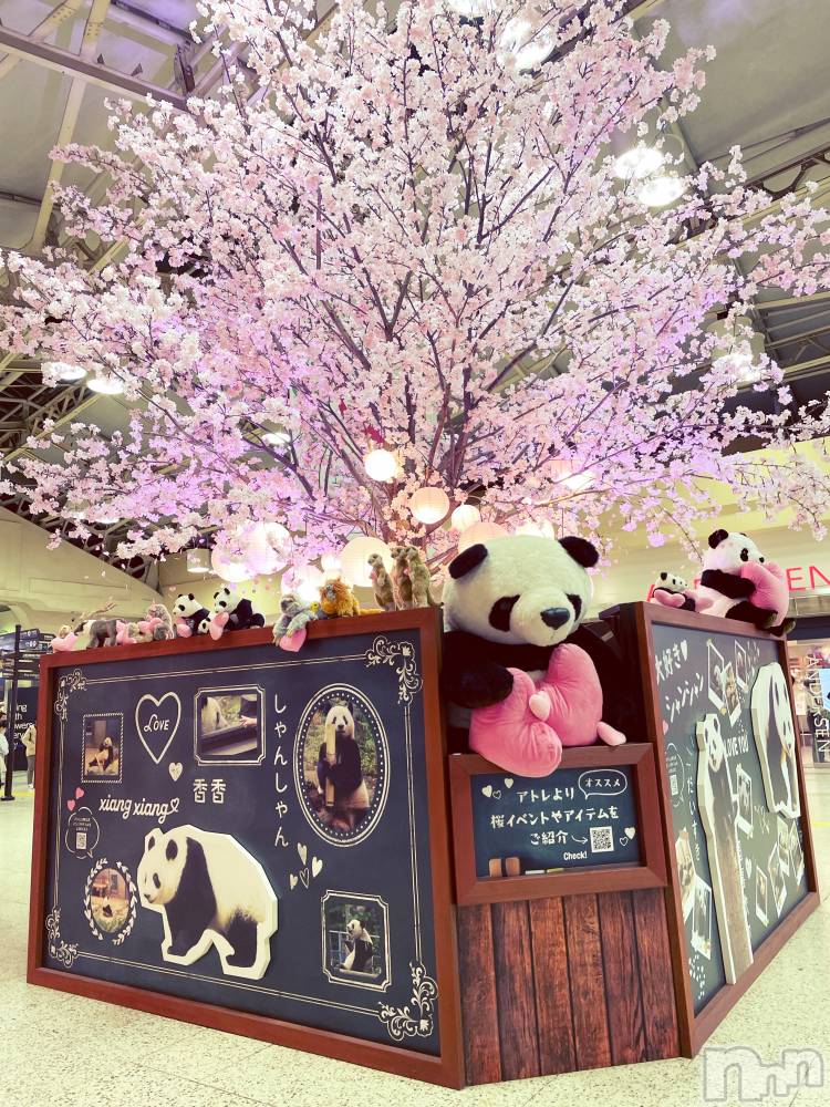 長岡デリヘルすずらん長岡店～ゆっくり長い時間を過ごせるお店～(スズランナガオカテン) 緑川かえで(35)の3月22日写メブログ「近況と上越のお客様へお知らせ🥰」