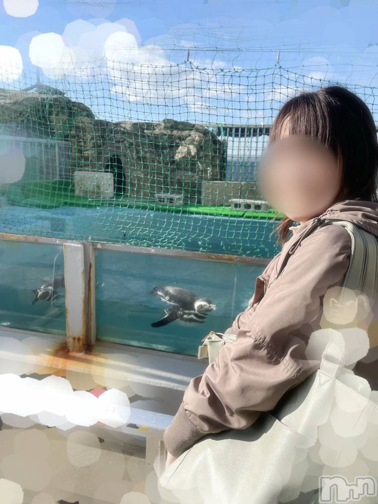 長岡デリヘルすずらん長岡店～ゆっくり長い時間を過ごせるお店～(スズランナガオカテン) 緑川かえで(35)の12月5日写メブログ「ペンギンと！🐧」