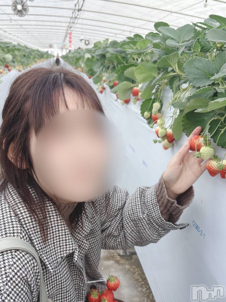 長岡デリヘルすずらん長岡店～ゆっくり長い時間を過ごせるお店～(スズランナガオカテン) 緑川かえで(35)の3月8日写メブログ「2月11日の思い出🍓」