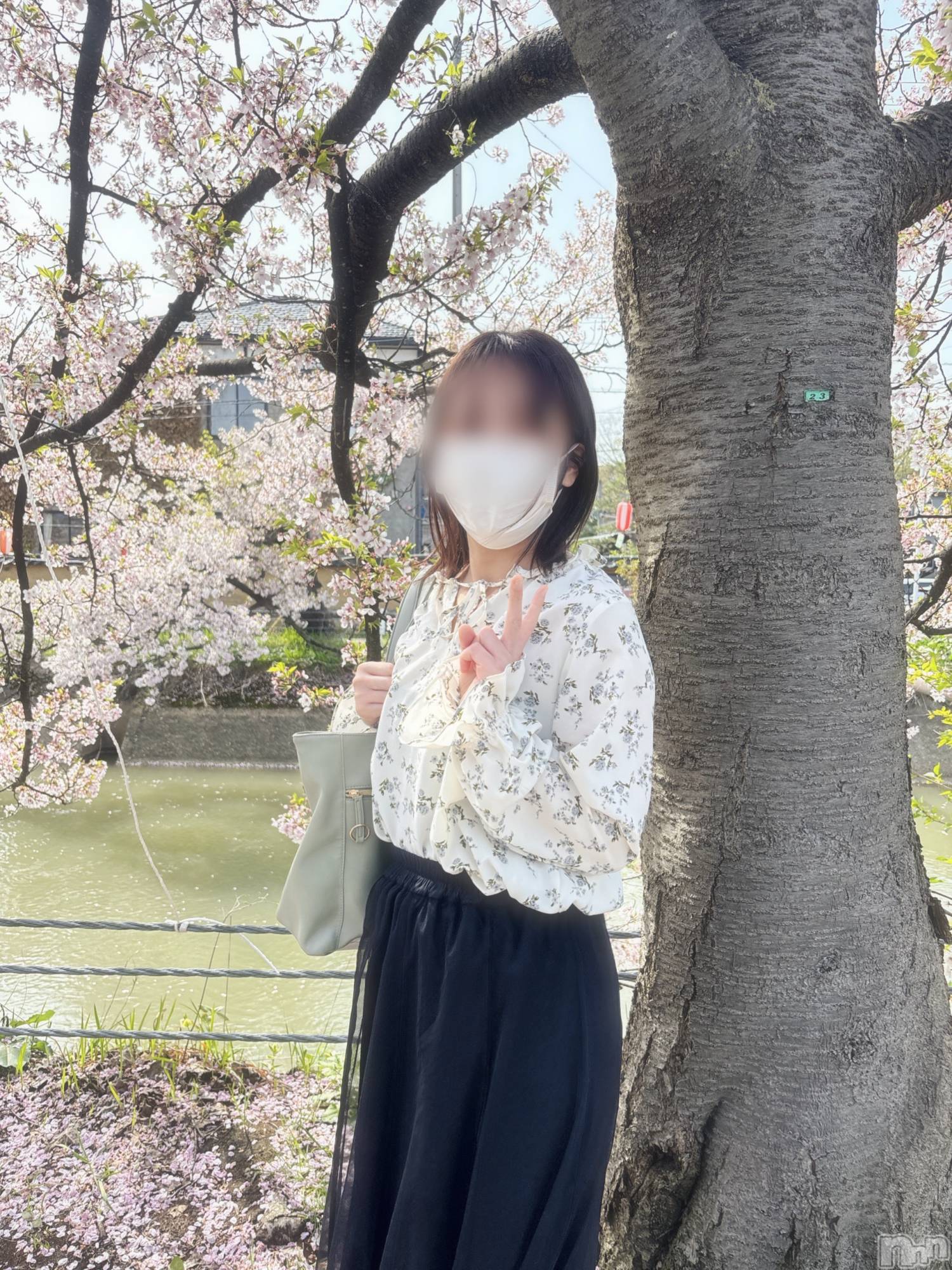 新潟デリヘルすずらん新潟店～ゆっくり長い時間を過ごせるお店～(スズランニイガタテン)緑川かえで(35)の2025年4月24日写メブログ「桜クイズ🌸」