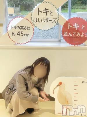 新潟デリヘル すずらん新潟店~ゆっくり長い時間を過ごせるお店~(スズランニイガタテン) 緑川かえで(35)の12月7日写メブログ「トキと!🪽❤️」