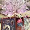 長岡デリヘル すずらん長岡店～ゆっくり長い時間を過ごせるお店～(スズランナガオカテン) 緑川かえで(35)の3月22日写メブログ「近況と上越のお客様へお知らせ🥰」