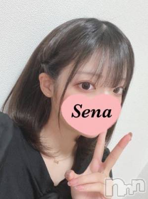 上越デリヘル RICHARD（リシャール）(リシャール) 井上せな(21)の4月1日写メブログ「おはよう🤍桜きらきら🌸✨」