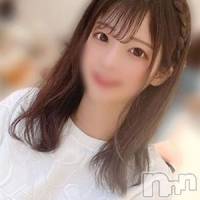 井上せな