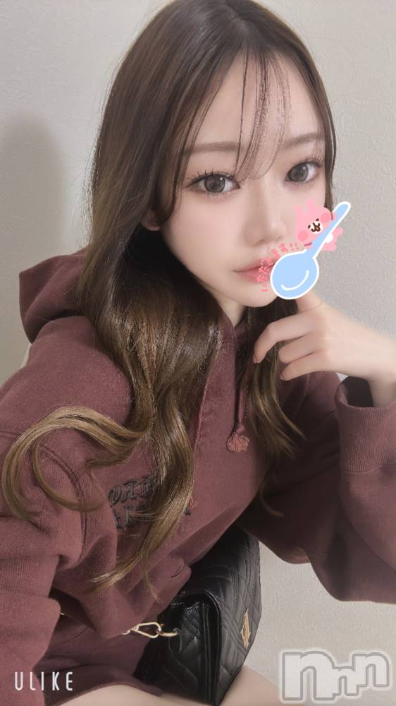 ʥå륺СJEUNESSE(ͥ) Ria517̥֥ߥͥ