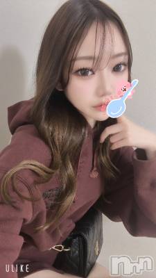 ʥå륺СJEUNESSE(ͥ) Ria(99)517̥֥ߥͥ