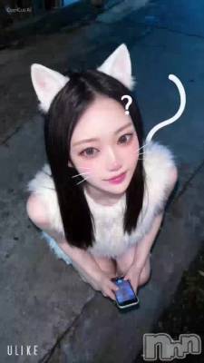 ���äƤ�������🐈‍⬛