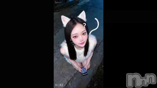 �֤��äƤ�������🐈‍⬛��