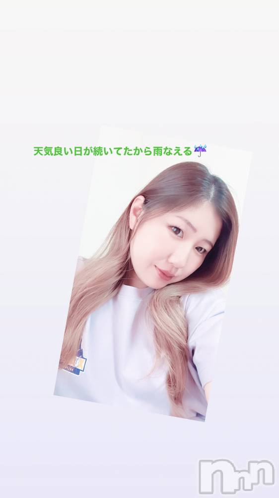 Ĺ襳ѥ˥󥯥ֻ򥳥ѥ˥󥯥 Amour(ࡼ) ʤ529ִ̥֥भ