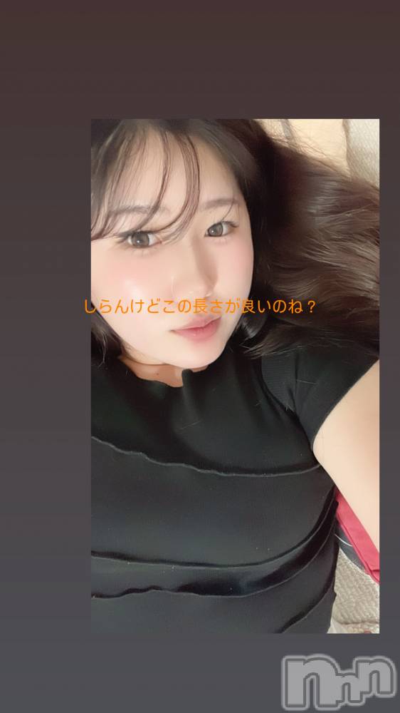 Ĺ襳ѥ˥󥯥ֻ򥳥ѥ˥󥯥 Amour(ࡼ) ʤ819̥֥֤