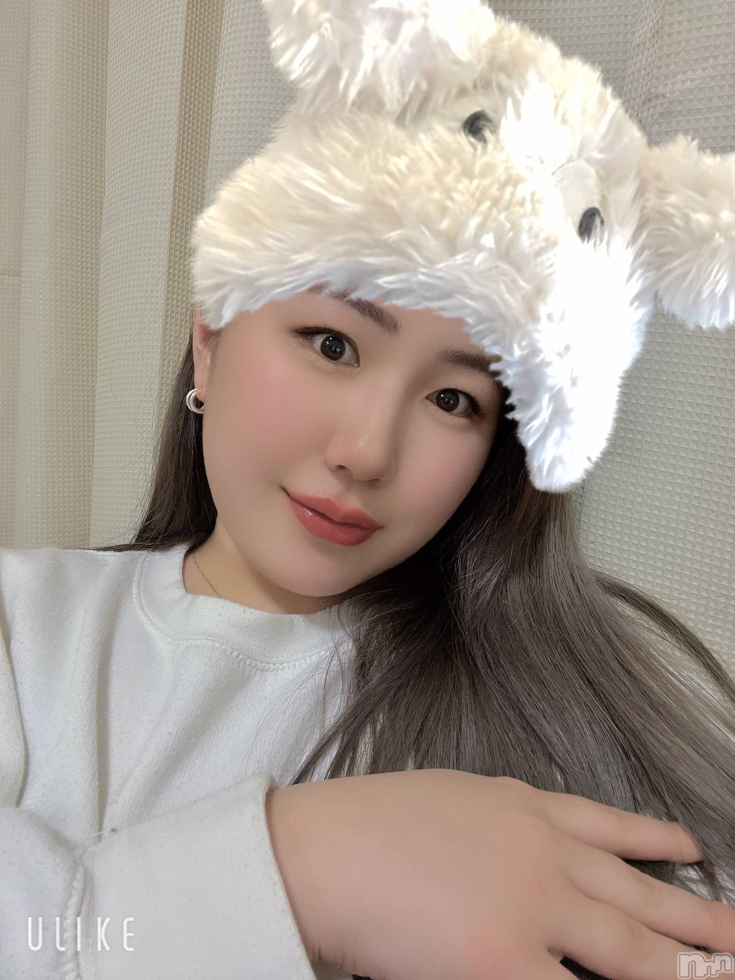 Ĺ襳ѥ˥󥯥ֻ򥳥ѥ˥󥯥 Amour(ࡼ) 2024ǯ412̥֥🤍