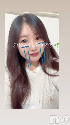 Ĺ襳ѥ˥󥯥ֻ򥳥ѥ˥󥯥 Amour(ࡼ) ʤ(25)114̥֥֤ʤˤ餷褦