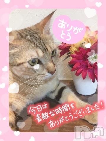 長岡デリヘルTERRACE(テラス)とわ◆完全業界未経験×地元新潟(25)の2023年5月26日写メブログ「本日もありがとうございました💕」