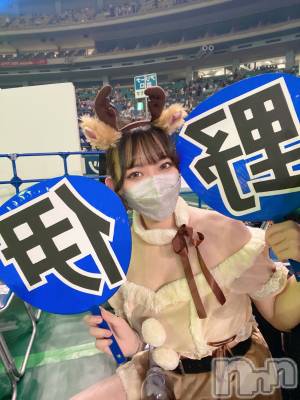ȯĥХ顦CLUB  F.ROZEN(֥ե) (99)622̥֥HPB😺💙