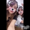 Įʥå륺СץBarʥ(ץСʥ) ŹĹ 椭ʤưͧб😻