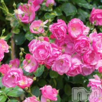 今日もありがとう&#x1F493;