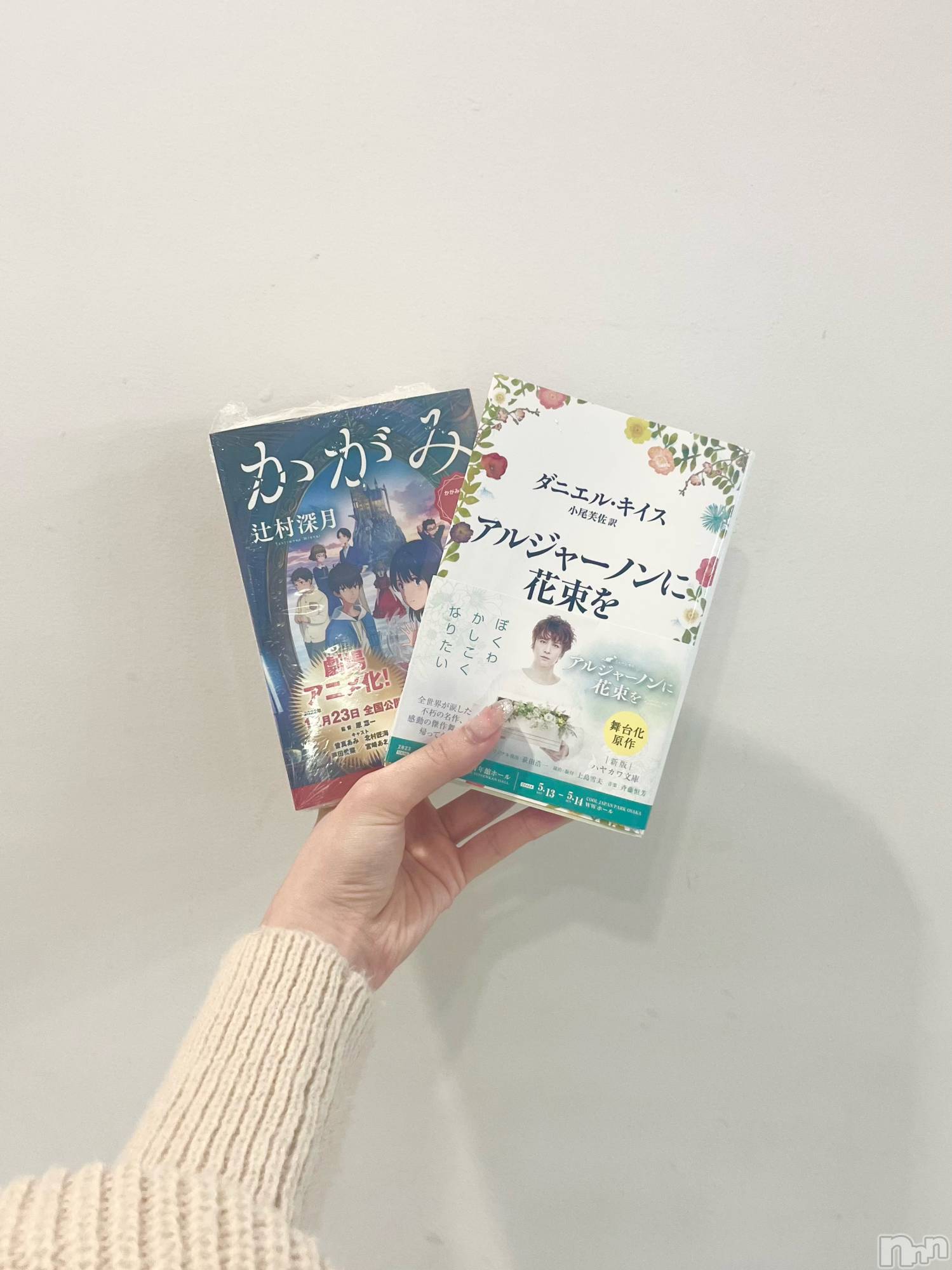 Х顦Lune LYNX(롼󥯥) 2023ǯ513̥֥📖 𓂃𓈒 𓂂𓏸