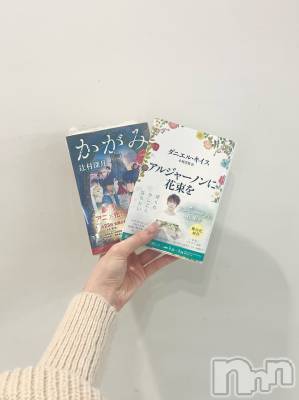 Х顦Lune LYNX(롼󥯥) 楦513̥֥📖 𓂃𓈒 𓂂𓏸