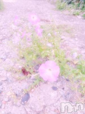 上越デリヘル 上越風俗出張アロママッサージ(ジョウエツフウゾクシュッチョウアロママッサージ) 新人★ゆみ(28)の9月29日写メブログ「お散歩日和」