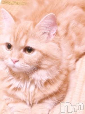 上越デリヘル 上越風俗出張アロママッサージ(ジョウエツフウゾクシュッチョウアロママッサージ) 新人★ゆみ(28)の10月14日写メブログ「おはよう🎵」