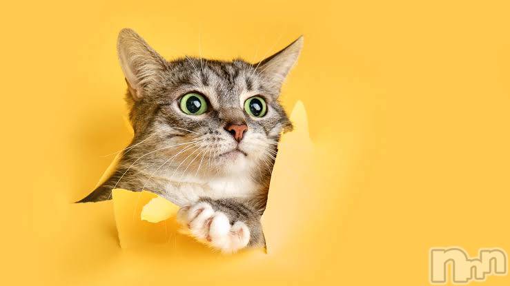 ƲХ顦CLUB FOUR GARDEN(֡եǥ) 2025ǯ310̥֥🐱