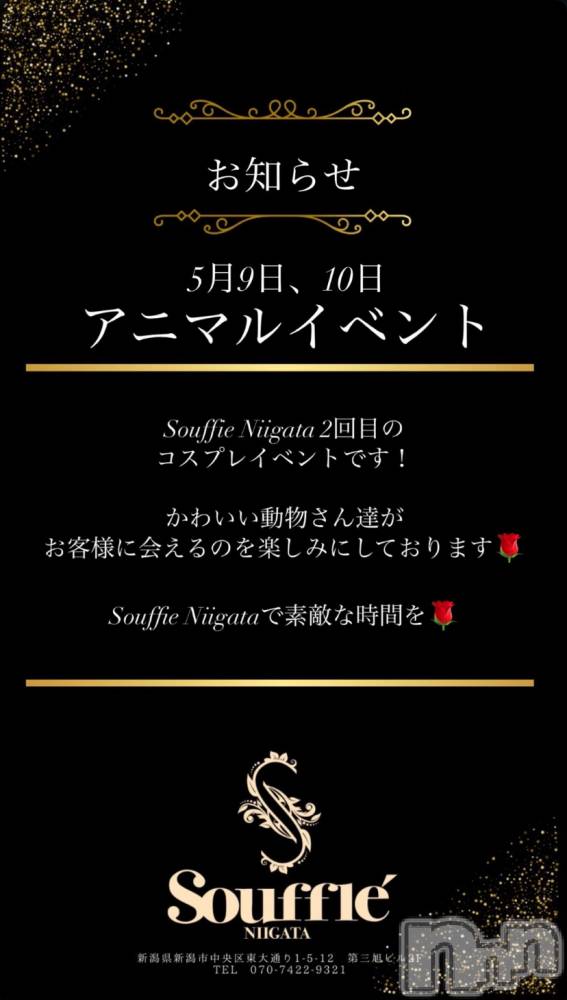 Х顦Souffle NIIGATA(ե˥)  Ƶ58̥֥֥˥ޥ🐶🐱🐰🦊🦁🐒