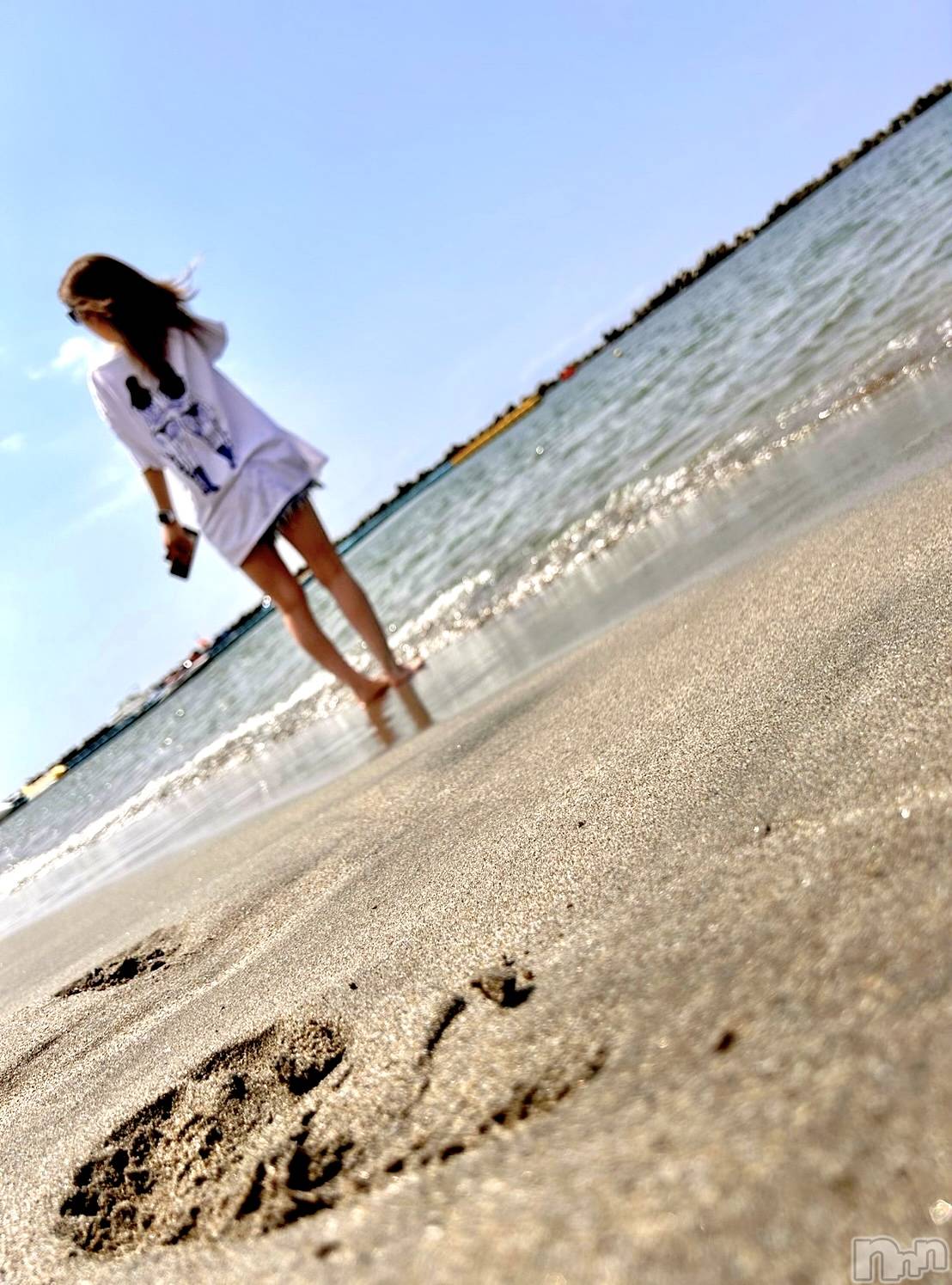 Х顦Souffle NIIGATA(ե˥) 2024ǯ729̥֥Sea🏖