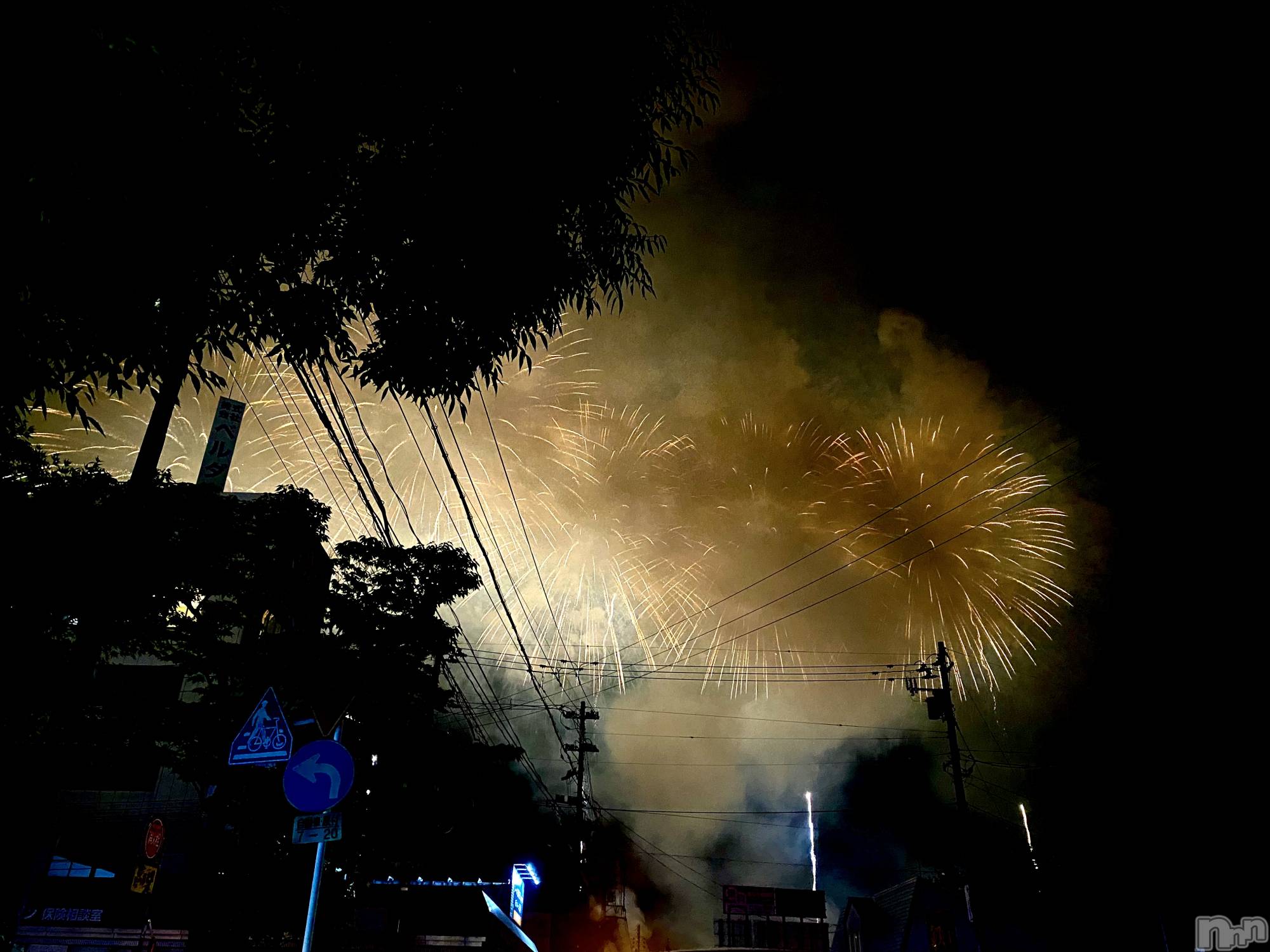 Х顦Souffle NIIGATA(ե˥) 2024ǯ85̥֥1ǯ֤✨🎆