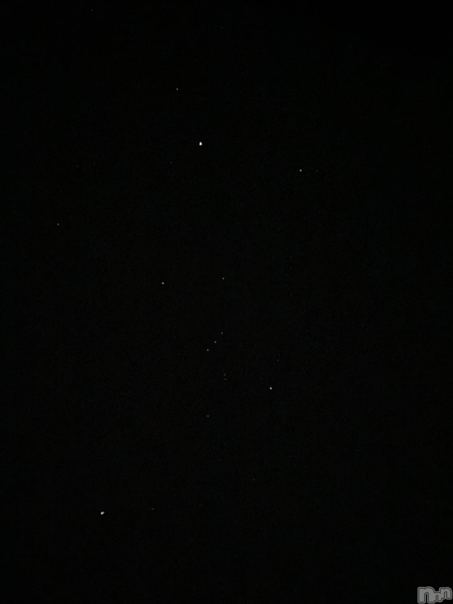 Х顦Souffle NIIGATA(ե˥) 2024ǯ1013̥֥💫