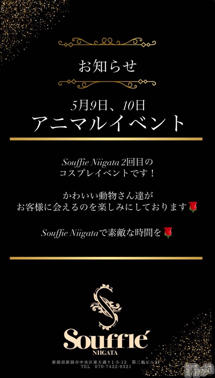 Х顦Souffle NIIGATA(ե˥) 2025ǯ58̥֥֥˥ޥ🐶🐱🐰🦊🦁🐒