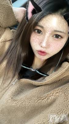 Х顦Souffle NIIGATA(ե˥)  Ƶ(27)28̥֥֤٤ߤ❓