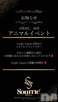 Х顦Souffle NIIGATA(ե˥)  Ƶ(27)58̥֥֥˥ޥ🐶🐱🐰🦊🦁🐒