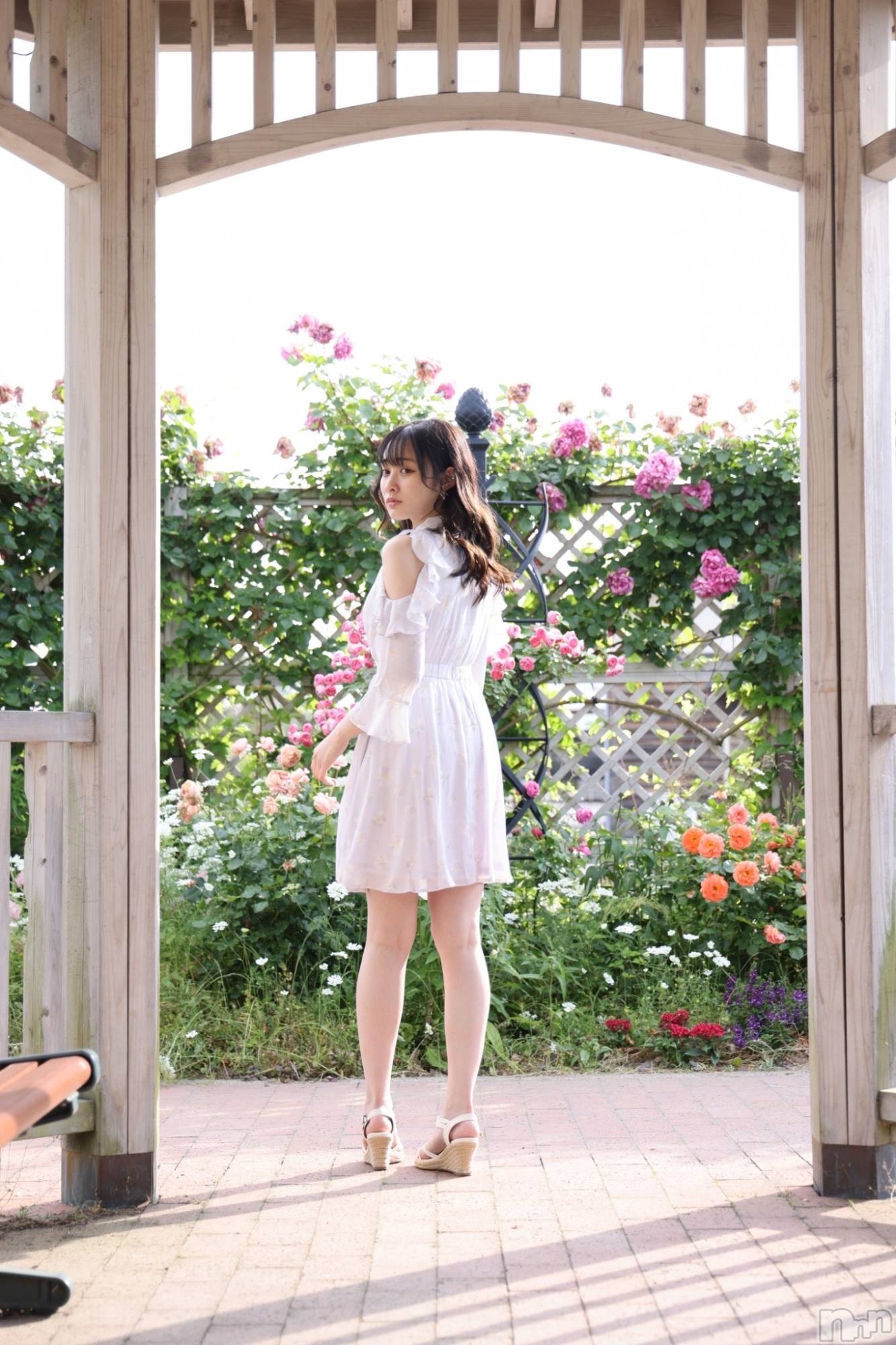 Х顦Souffle NIIGATA(ե˥) 2023ǯ617̥֥֤֤桩