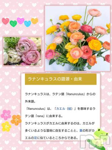 松本発ぽっちゃりちゃんこ長野　塩尻北IC店(チャンコナガノ　シオジリキタインターチェンジテン) みさ(49)の9月5日写メブログ「[お題]from:鼻キューピッドさん」