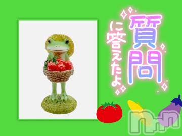 松本発ぽっちゃりちゃんこ長野　塩尻北IC店(チャンコナガノ　シオジリキタインターチェンジテン)みさ(49)の2024年1月31日写メブログ「[お題]from:コーンさん」