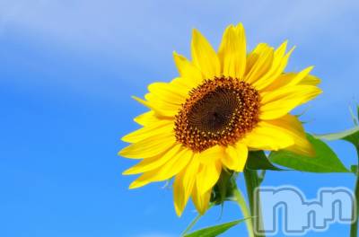 上越デリヘル 上越最安値！奥様Deli急便(ジョウエツサイヤスネ！オクサマデリキュウビン) あかね(48)の4月27日写メブログ「初めしてじゃないですが💦」