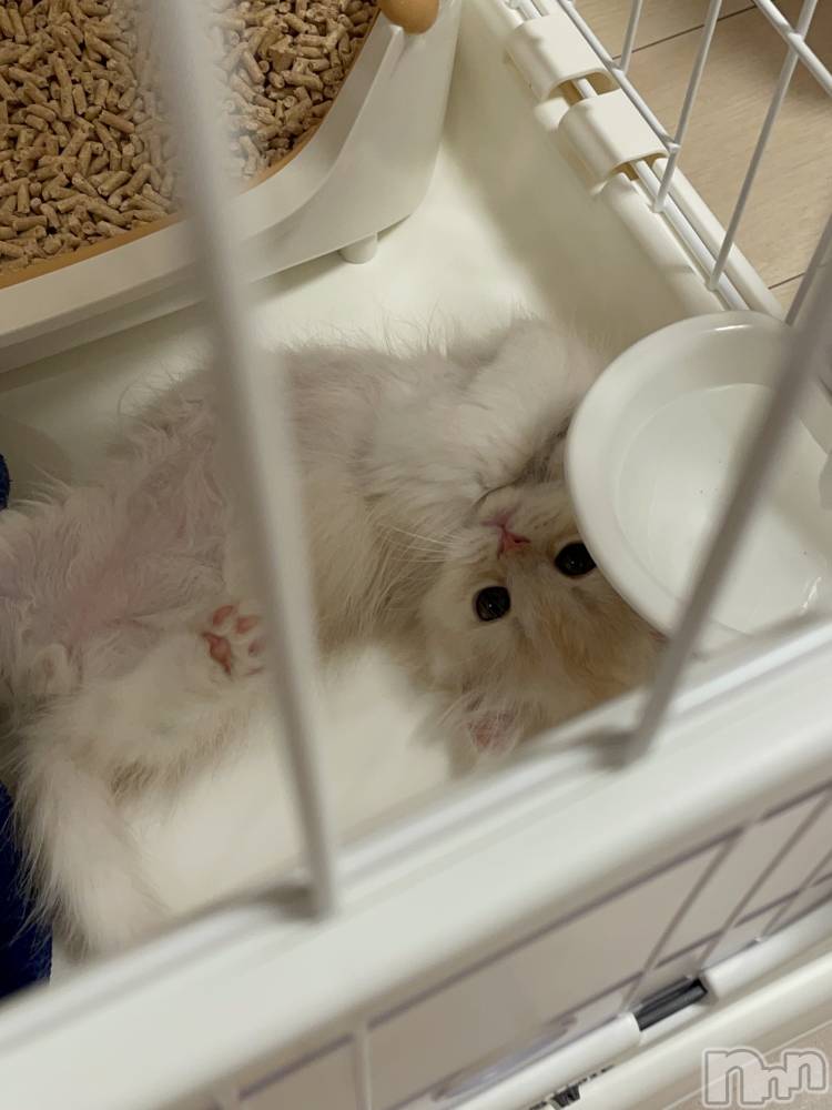 Ʋʥå륺СLOUNGE ICHI (饦󥸥) ꤫222̥֥🐱💞