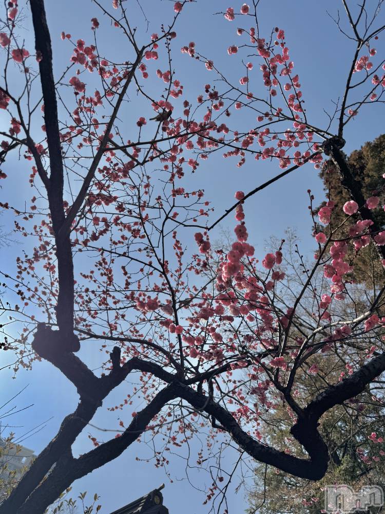 ��Ʋ���ʥå��������륺�С�LOUNGE ICHI ������(�饦�󥸥���) �����꤫��3��2���̥�֥�����🕊️��