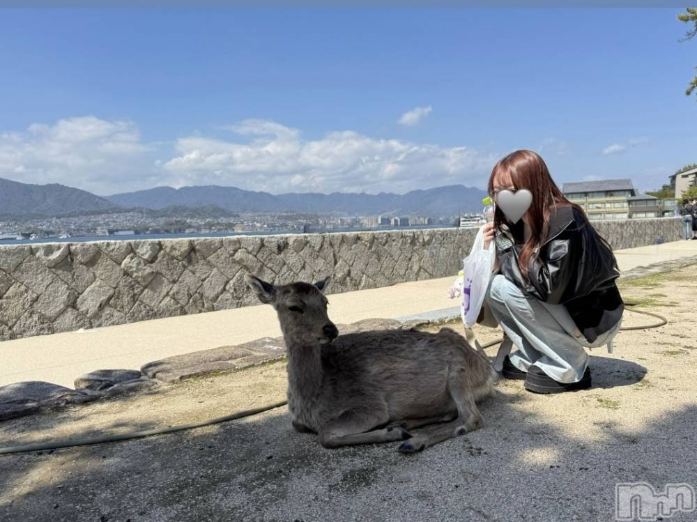 ��Ʋ���ʥå��������륺�С�LOUNGE ICHI ������(�饦�󥸥���) �����꤫��4��6���̥�֥����֥��������